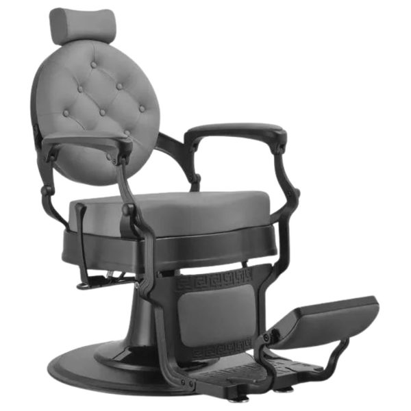 ANIX 6500